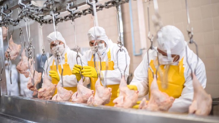 Perbedaan Utama Quality Control (QC) dan Quality Assurance (QA)