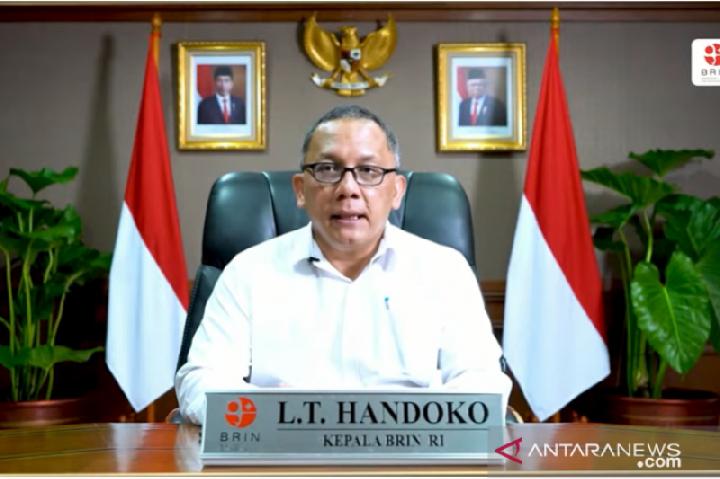 Sebut Sorgum Bisa jadi Alternatif Pengganti Gandum, Kepala BRIN: Roti Tetap Enak