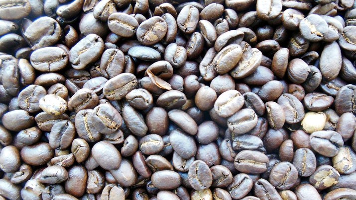 Nasib Kopi Indonesia: Primadona Dunia yang Tengah Terancam